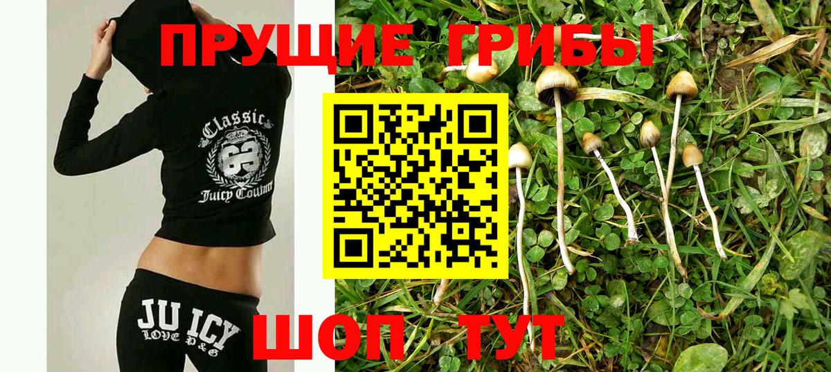 Псилоцибиновые грибы прущие грибы  Вход с VPN  Брянск 