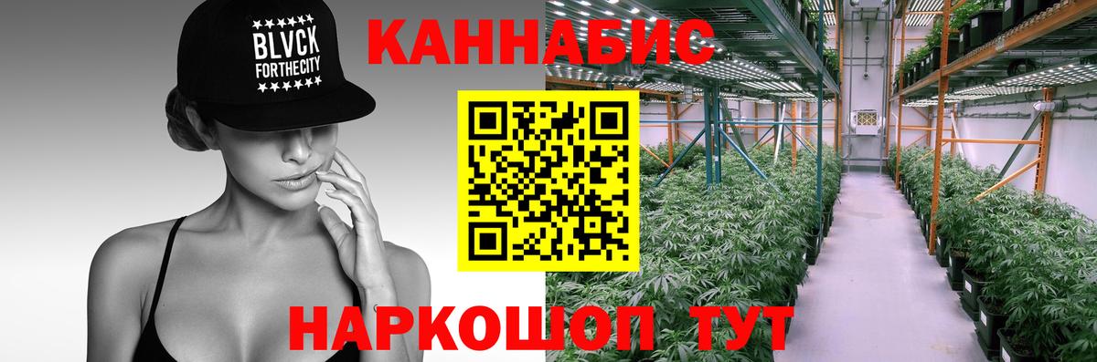 Конопля сатива Брянск